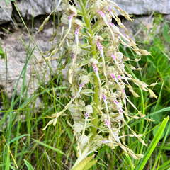 22-05-08 10-47-53 0756